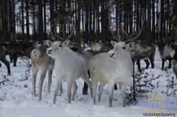 <b>СМОТРЕТЬ ФОТО