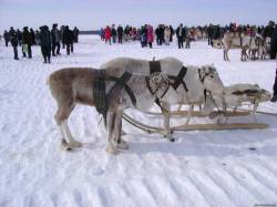 <b>СМОТРЕТЬ ФОТО