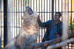 <b>СМОТРЕТЬ ФОТО