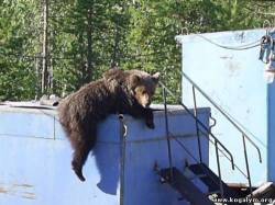 <b>СМОТРЕТЬ ФОТО