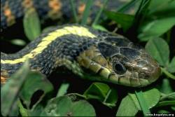 <b>СМОТРЕТЬ ФОТО