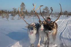 <b>СМОТРЕТЬ ФОТО