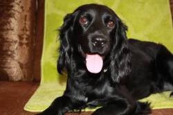 <b>СМОТРЕТЬ ФОТО