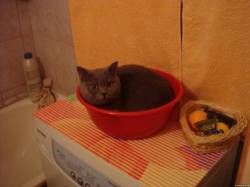 <b>СМОТРЕТЬ ФОТО