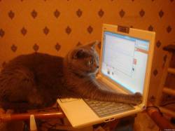 <b>СМОТРЕТЬ ФОТО