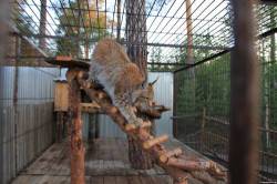 <b>СМОТРЕТЬ ФОТО