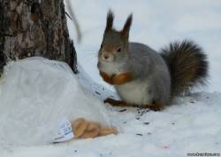 <b>СМОТРЕТЬ ФОТО