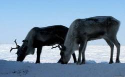 <b>СМОТРЕТЬ ФОТО