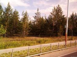 <b>СМОТРЕТЬ ФОТО