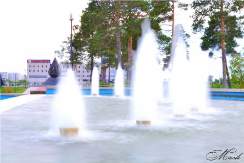 Фотография 2