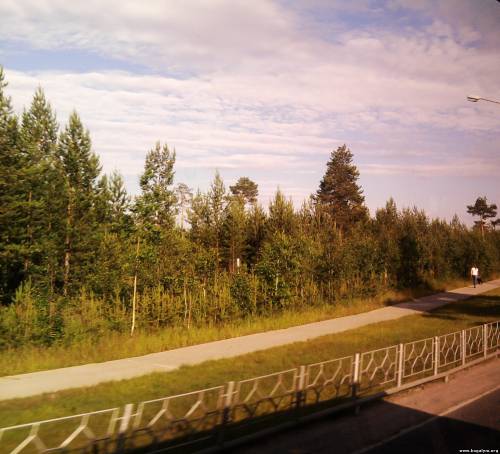 Парк в 7 - ом микрорайоне