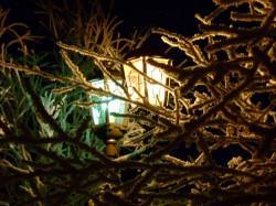 <b>СМОТРЕТЬ ФОТО