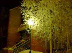 <b>СМОТРЕТЬ ФОТО