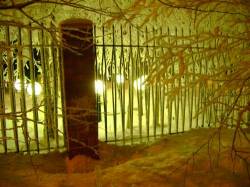 <b>СМОТРЕТЬ ФОТО