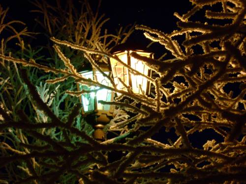 Зимний этюд