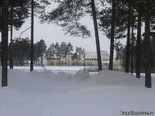 Дворец спорта