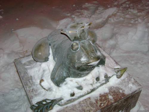 Царевна - лягушка