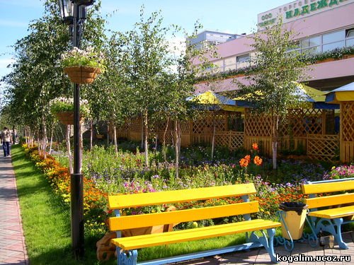 У магазина "Надежда"