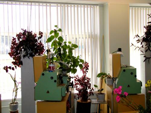 Мастерская (СШ №5)