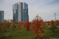 <b>СМОТРЕТЬ ФОТО