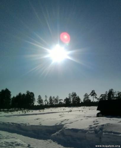 Панорама парка