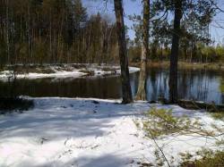 <b>СМОТРЕТЬ ФОТО