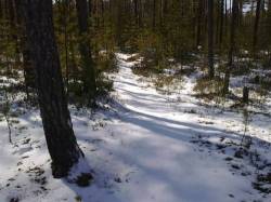 <b>СМОТРЕТЬ ФОТО