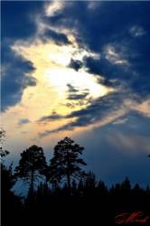 <b>СМОТРЕТЬ ФОТО