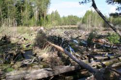 <b>СМОТРЕТЬ ФОТО