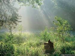 <b>СМОТРЕТЬ ФОТО