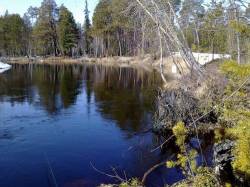 <b>СМОТРЕТЬ ФОТО