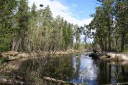 <b>СМОТРЕТЬ ФОТО