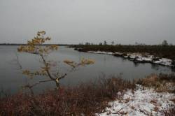 <b>СМОТРЕТЬ ФОТО