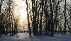 <b>СМОТРЕТЬ ФОТО