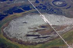 <b>СМОТРЕТЬ ФОТО