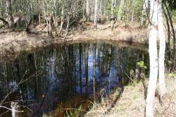 <b>СМОТРЕТЬ ФОТО