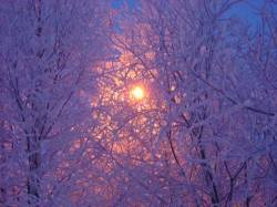 <b>СМОТРЕТЬ ФОТО