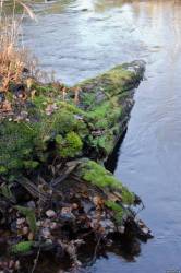 <b>СМОТРЕТЬ ФОТО