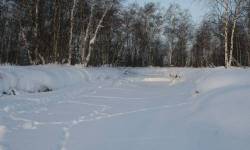 <b>СМОТРЕТЬ ФОТО