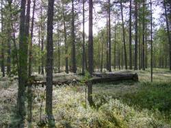 <b>СМОТРЕТЬ ФОТО