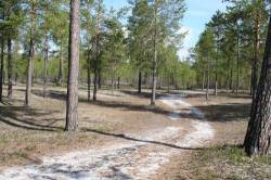 <b>СМОТРЕТЬ ФОТО