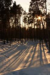 <b>СМОТРЕТЬ ФОТО