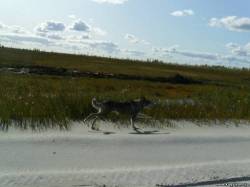 <b>СМОТРЕТЬ ФОТО