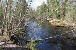 <b>СМОТРЕТЬ ФОТО