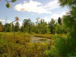 <b>СМОТРЕТЬ ФОТО