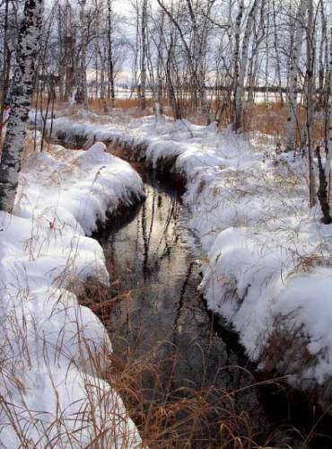 Ручей весной