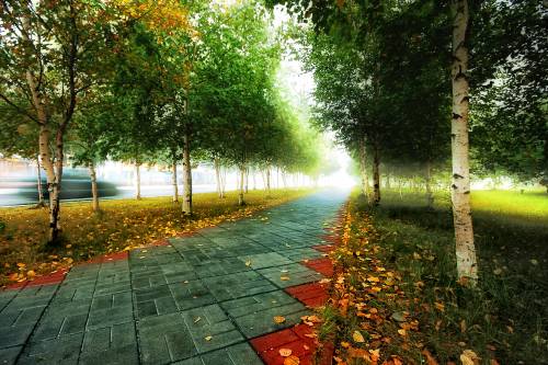 дорожка в тумане