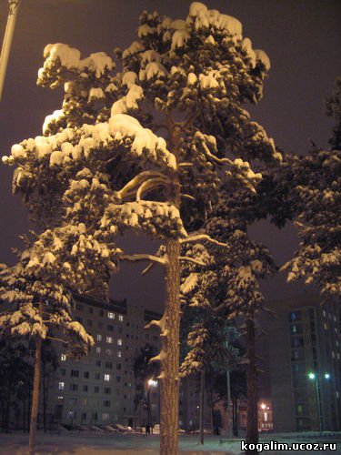 Город ночью