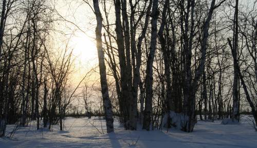 На рассвете