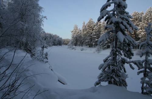 На берегу реки